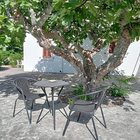 B&B Villa Rosanna 파사노 외부 사진