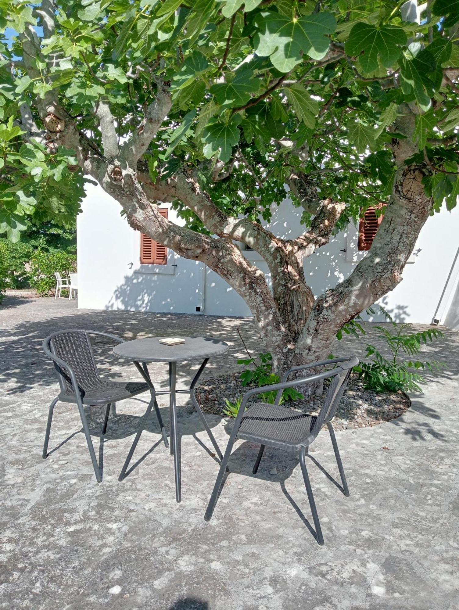 B&B Villa Rosanna 파사노 외부 사진
