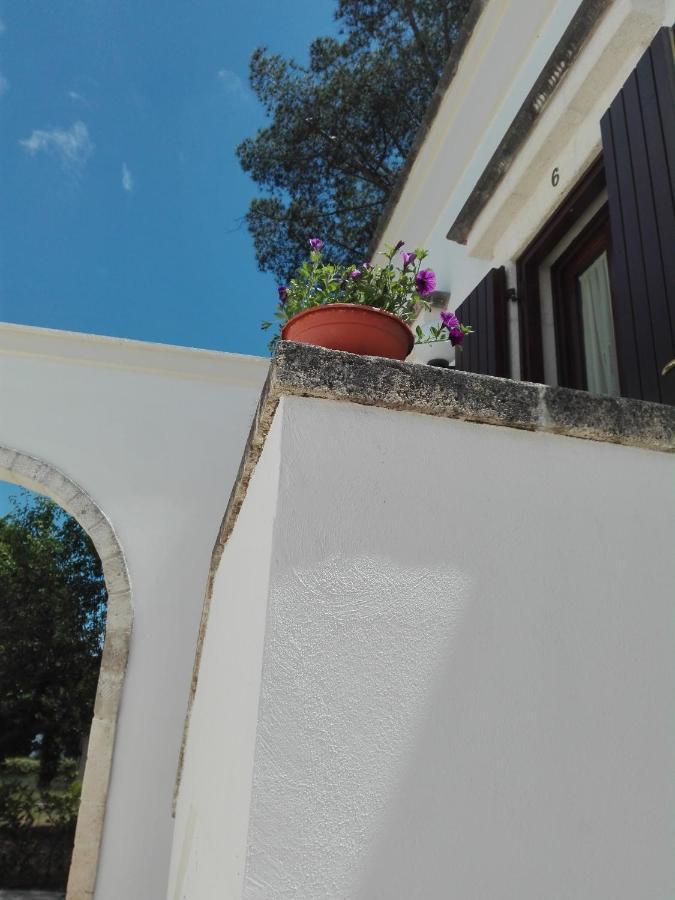 B&B Villa Rosanna 파사노 외부 사진